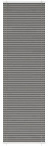 vidaXL Antracite Plissada Cega 55x200 cm Largura Tecido 54,4 cm