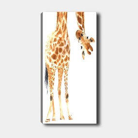 Pintura Decorativa em Tela DKY2589411454_50120 – Multicolor – 50 x 120