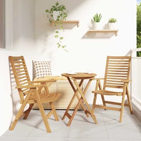 vidaXL Cadeiras de jardim Dobrar Castanho 52 x 64,5 x 108 cm