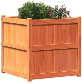 Vaso/floreira de jardim 70x70x70 cm pinho maciço castanho cera