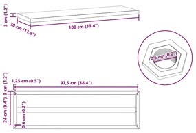 Prateleiras de parede 2 pcs 100x30x3 cm aço inoxidável prateado