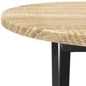 Mesa de Centro em Carvalho Sonoma 80x40x40,5 cm, Madeira Revestida e M