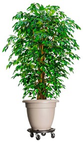 Carrinho de plantas com rodas 2 pcs diâmetro 40 cm 275 kg preto