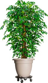 vidaXL Carrinho de plantas com rodas 2 pcs diâmetro 40 cm 275 kg preto