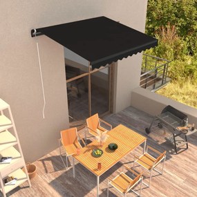 vidaXL Toldo retrátil automático 300x250 cm antracite