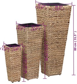 Vasos/floreiras 3 pcs jacinto de água castanho