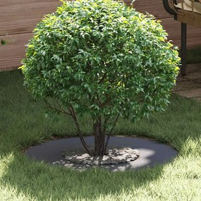 vidaXL Anel de Árvore Plano 5 pcs Antracite Ø30/60 cm de Aço.