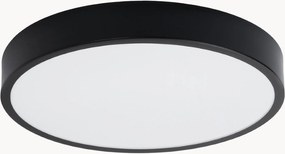 Foco de teto LED Franco, vários tamanhos