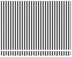 Toldo retrátil manual 300x250 cm antracite e branco