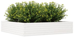 Vaso/floreira de jardim 110x110x23 cm pinho maciço branco