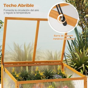 Estufa de madeira 94 x 63 x 40 cm, teto transparente rebatível, proteção para vasos elevados, pequena, para interior e exterior, jardim, terraço, cor