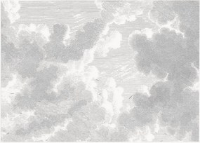 Papel de parede não tecido Engraved Clouds