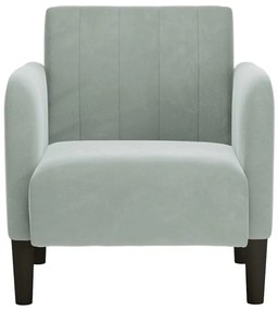 Poltrona com apoio de braços 54 cm veludo cinzento-claro