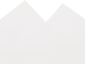 Lona 4x5 m 650 g/m² branco