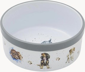 Taça para animais de estimação Dog