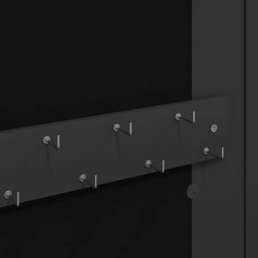 Móvel para joias de parede espelhado 30x8,5x67 cm preto
