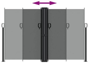 Toldo lateral retrátil 160x1000 cm antracite