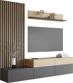 Conjunto para sala de estar Comfivo 496