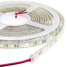 Fita LED de cor única EPISTAR SMD5050, DC24V DC, 5m (60 Led/m) - Sensor de temperatura, 72W, IP20 Branco Frio