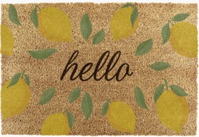 Tapete de entrada Hello Lemons