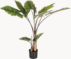 Plantas artificiais Dieffenbachia, conjunto de 2