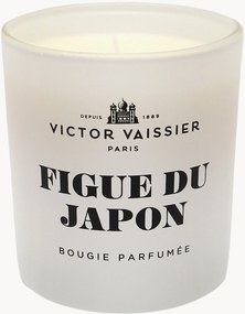 Vela perfumada Figue Du Japon (figo preto e vetiver)