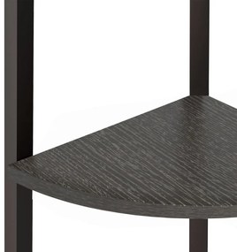 Estante de canto com 4 prateleiras 45,5x31,5x150 cm preto