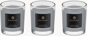 Conjunto de velas de viagem Ash Eucalyptus & Blackcurrant