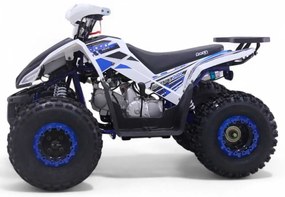 Mini Moto 4 gasolina para crianças automática 125cc Roan Coyote R8 Ecrã digital e com e marcha-atrás Azul