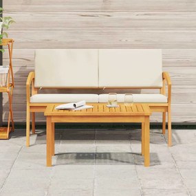 Conjunto Bistro de 2 Peças com Almofadas em Madeira de Acácia