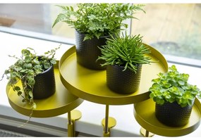 Esschert Design Tabuleiro p/ plantas redondo com braçadeira L dourado