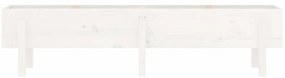 Canteiro elevado de jardim 160x30x38 cm pinho maciço branco