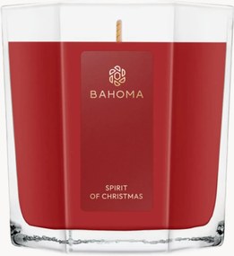 Vela perfumada Spirit Of Christmas (groselha-preta, canela)