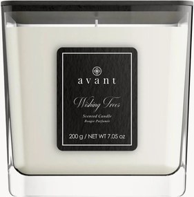 Vela perfumada Wishing Trees (bergamota, flores silvestres e groselha preta)