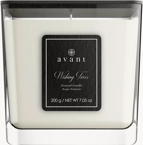 Vela perfumada Wishing Trees (bergamota, flores silvestres, groselha preta)