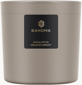 Vela perfumada com três pavios Eucalyptus & Blackcurrant (frésia, gardénia, almíscar)