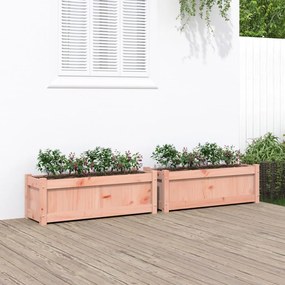 vidaXL Vasos/floreiras de jardim 2 pcs madeira de douglas maciça