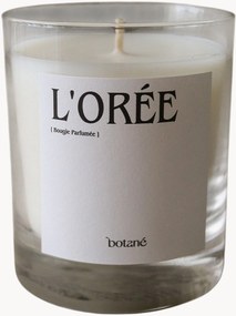 Vela perfumada L'Orée (pimenta-preta, jasmim-sambac e avelã)