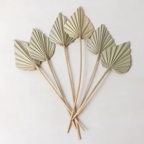 Pack De 6 Ramos Secos Decorativos Beliefe Verde Bambu - Sklum