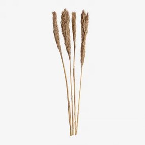 Pack De 4 Ramos Secos Decorativos Pampy Castanho Trigo - Sklum