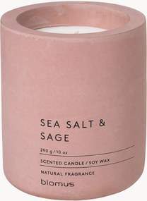 Vela perfumada Fraga (sal marinho & sálvia)