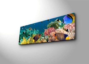 Pintura Decorativa em Tela com Luzes LED 3090DACT-13 – Multicolor – 30