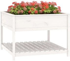 Vaso/floreira + prateleira 111,5x111,5x81cm pinho maciço branco