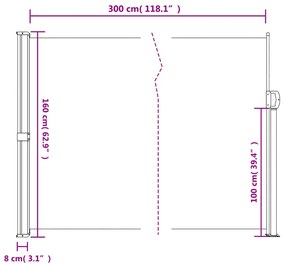 Toldo lateral retrátil 160x300 cm bege