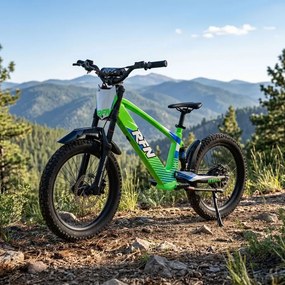 Bicicleta elétrica infantil sem pedais 750W 20" 36V 7.5Ah RXF EVO-RACING Verde