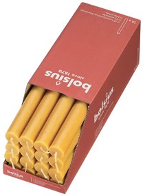 440866 Bolsius Velas de mesa Shine 16 pcs 27 cm amarelo mel