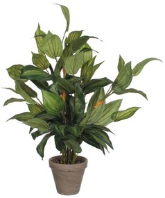 Planta Decorativa Mica Decorations Hosta Verde Pvc (15,5 X 65 cm)