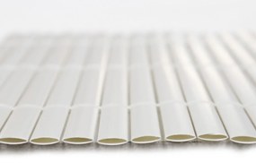 Caniço Branco PVC 1 x 300 x 200 cm