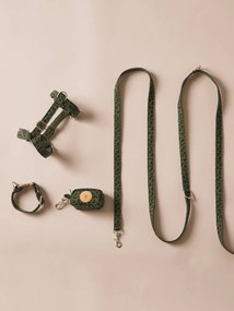 Conjunto de passeio para cão caqui