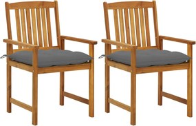 vidaXL Cadeiras de jardim com almofadões 2 pcs acácia maciça